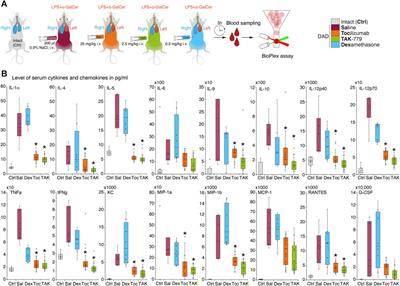 CCR5/CXCR3 antagonist TAK-779 prevents diffuse alveolar damage of the lung in the murine model of the acute respiratory distress syndrome